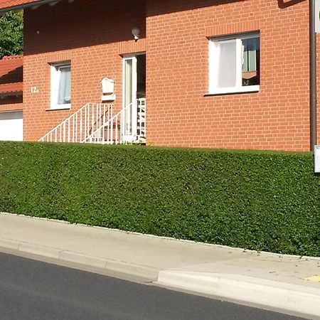 Apartment Mit Blick Auf Herkules Mit Parkplatz كاسيل المظهر الخارجي الصورة